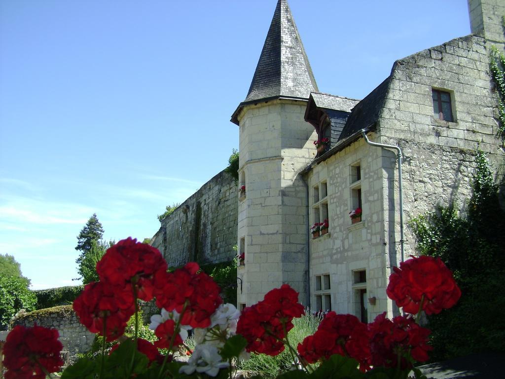 Le Petit Hureau Saumur Extérieur photo