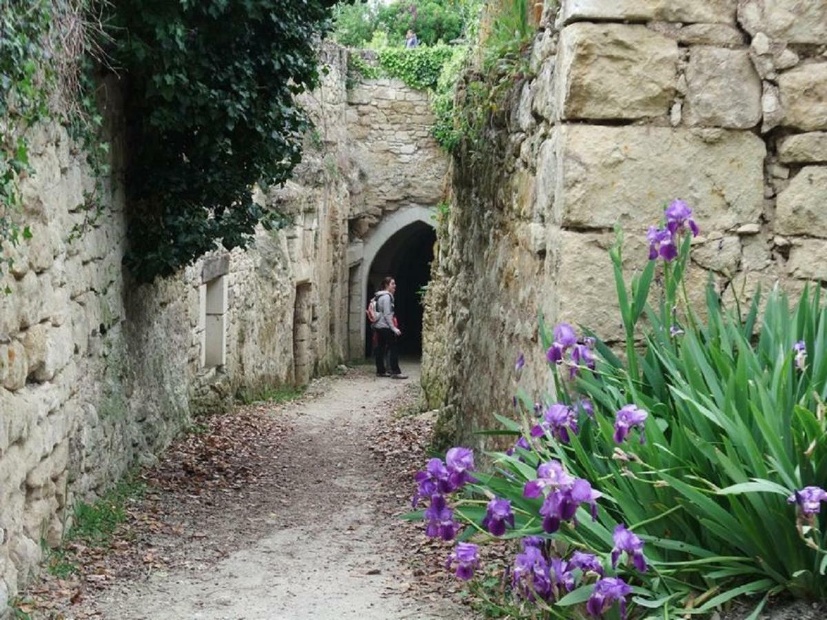 Le Petit Hureau Saumur Extérieur photo